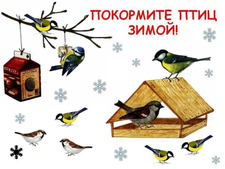 Акция «Покормите птиц».